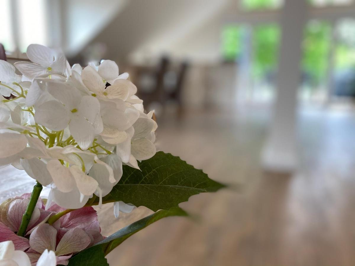 Ferienwohnung Koehler Bispingen Kültér fotó